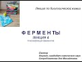 ФЕРМЕНТЫ 4. Классификация ферментов.