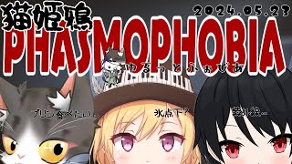PHASMOPHOBIA  猫姫鴉で幽霊調査  ！ゆるふぉび【ファズモフォビア】