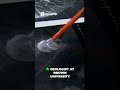 NASA's Magellan Images: Stunning Venus Discoveries Revealed!