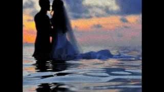 Elissa and Fadel Shaker JOWA ROUH اليسا و فضل شاكر -جوه الروح