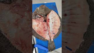 Professional Chef De-Fillets Giant Turbot||Perfect Turbot Fillet Technique||Turbot Fish Breakdown