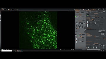 14   Multiposition drift correction