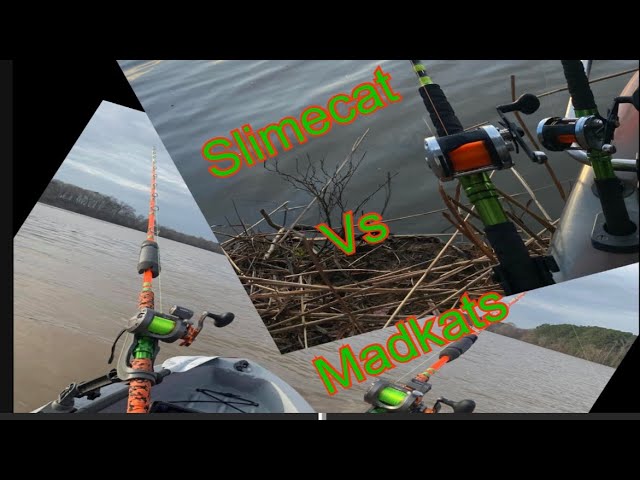 Slimecat rods vs Madkats between 2 buddies #slimecatrods #madkatsrods  #catfishing 