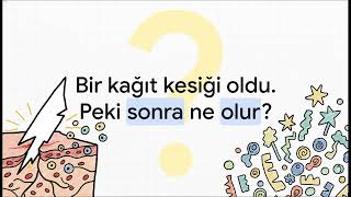 Vücudunuzun İçindeki Gizli Ordu: Kağıt Kesiği Savaşçıları Yks Ders Tadında