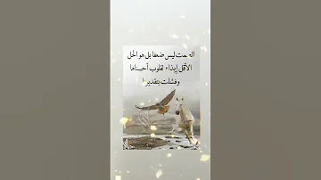حكمة اليوم الصمت 