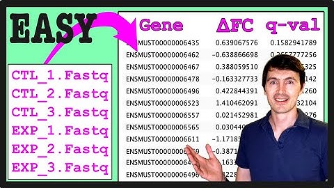 How to do RNA-seq analysis in 2025 | Minimap2 - Samtools - Salmon -DEseq2