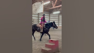 Cayouse’s first time carrying a flag. Zero concern.