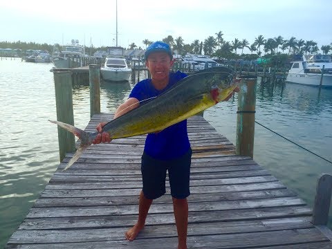 Spring Bahamas Mahi Mahi Fishing