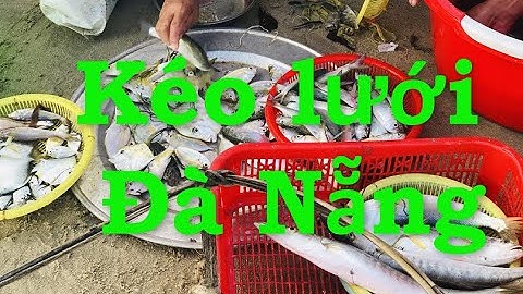 Kéo lưới tại biển Mân Thái - Đà Nẵng  - Con Ba Bỉnh / Binh