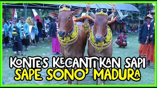 SPECIAL SAPE SONOK CONTEST FOR PAMEKASAN'S 495TH ANNIVERSARY