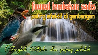 Download Lagu Fuul tembakan paling efektif 🔥 Tengkek Buto dan jinjing petulak MP3 Download Lagu Fuul tembakan paling efektif 🔥 Tengkek Buto dan jinjing petulak MP3
