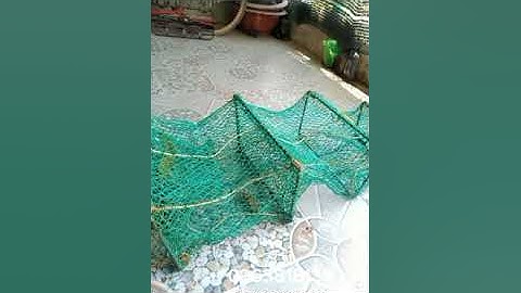 lú, lộp. củ mới đủ loại. 0963818136