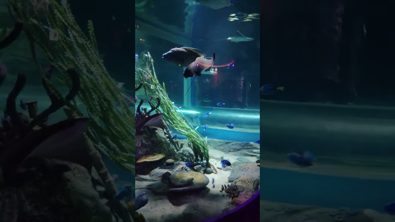 3 марта 2026 г.