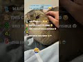 RANKING THE FUNNIEST CAT MOMENTS EVER 😂🐾 #funny