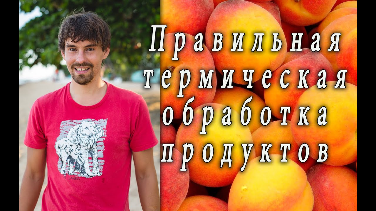 Сыроедение. Правильная термическая обработка продуктов. Важно! - YouTube