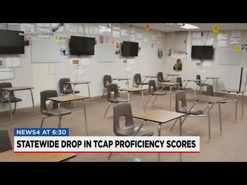 TCAP scores released