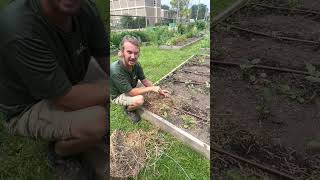 Weeding 101: Our Favorite Tools, Techniques & Prevention