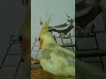 f yityhoylv