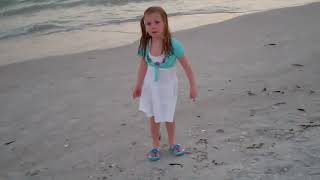 Sanibel 01