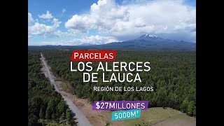 Parcelas Los Alerces de Lauca - Región de Los Lagos