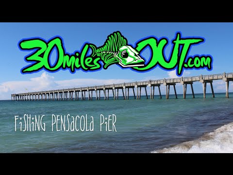 FISHING - Pensacola Beach Pier - Catching ladyfish on Gulp 