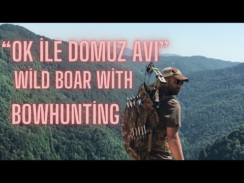 MAKARALI YAY VE OK İLE DOMUZ AVI TÜRKİYE / Wild Boar BOWHUNTİNG HOYT BOW HUNTİNG