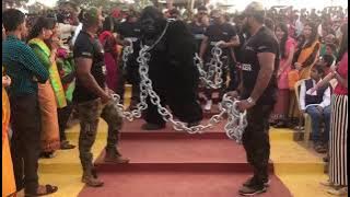 King kong(gorilla) show at alvas virasath 2018.
