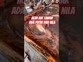 Ikan air tawar #shortvideo #short #shorts #trending #trendingshorts #fyp #viral #viralvideo