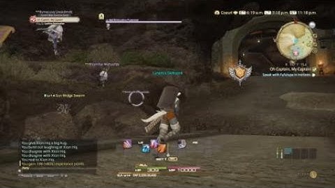 FFXIV Oh look! flying...BOTs?