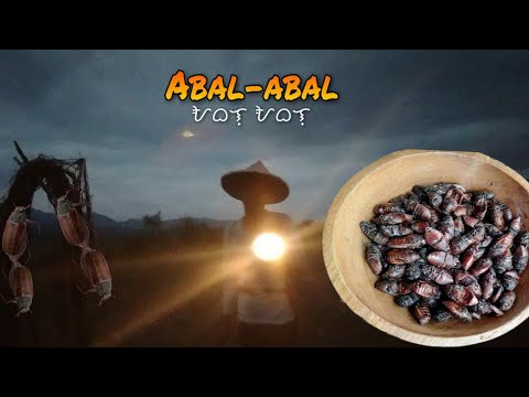 Download CATCH AND COOK EXOTIC FOOD SALAGUBANG,ABAL ABAL | Life in the Philippines Country Side Episode 9