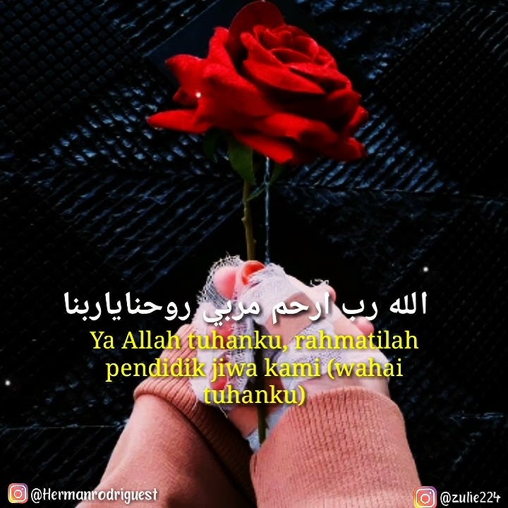 YA SYAIKHONA Liricy || story WA  cover