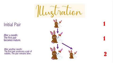 The Rabbit Problem