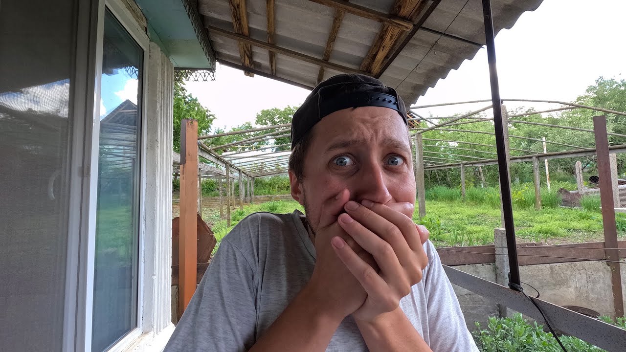 Mai pe scurt vorbind  Prietenul meu e pe Moarte