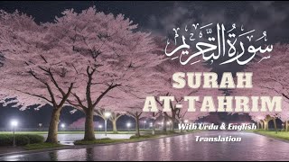 Surah At-Tahrim (Banning , Prohibition) Full | 066-سورۃ التحریم | With Urdu & English Translation