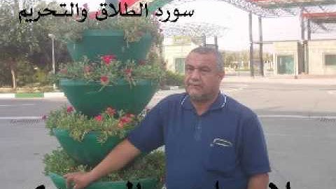سورة الطلاق والتحريم=هديتى الى ارواح امواتكم اخوانى واخواتى الاطهار ملا صاحب العبيدى