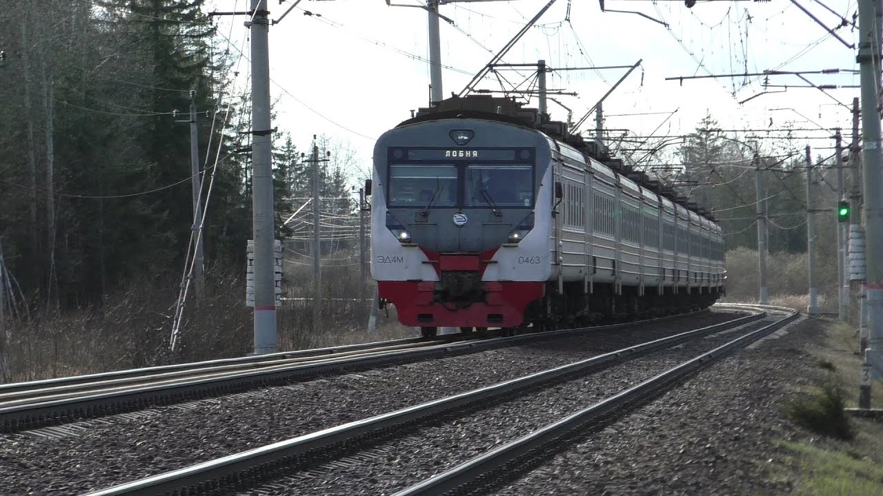 эд4м 0460. электричка петелино кубинка. электричка кубинка 1 голицыно. электричка голицыно петелино. кубинка тучково электричка.