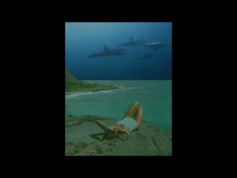 Enya - Caribbean Blue [Tropical House Remix]