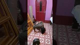 Desi Gym Motivation - Slim To Fit . Workout