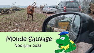 Monde Sauvage, voorjaar 2023