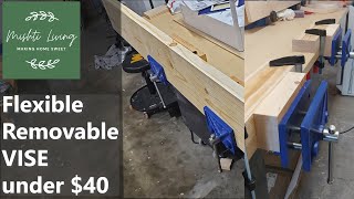 Flexible Movable Removable Vise under $40, start woodworking cheap!