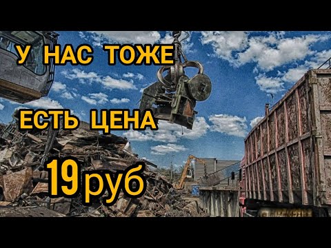 РАЗНИЦА В ЦЕНЕ МЕТАЛЛОЛОМА. #ценанаметалл #металлокоп2023 #коп #skrap