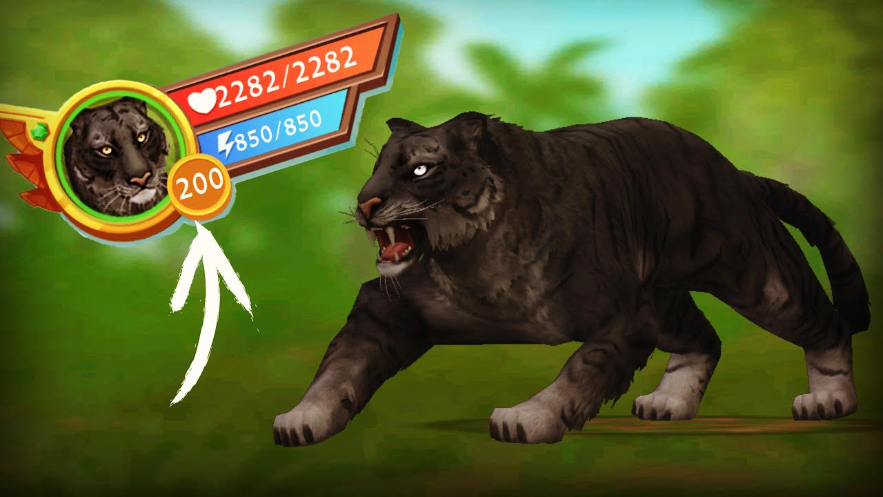 finally.. LEVEL 200 TIGER! Wildcraft Tiger 20 YouTube