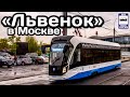 🇷🇺Новинка! Трамвай 71-911ЕМ «Львёнок» в Москве. На линии с 08.05.21 | New! Tram 71-911EM in Moscow