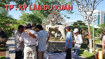 TP DUỐI * KỲ LÂN DU XUÂN * gây ấn tượng RẤT LỚN với quý khách về tham TL MIỀN TRUNG & TÂY NGUYÊN .