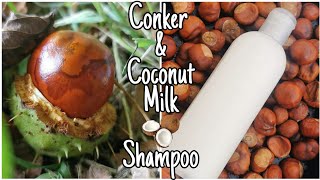 How To Make Conker & Coconut Milk Shampoo - Easy Step By Step (Horse Chestnuts)