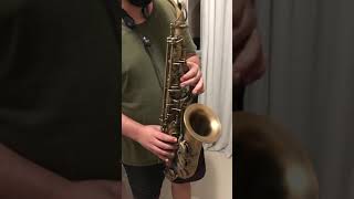 Boquilha Vandoren V16 A7 S Para Sax Alto