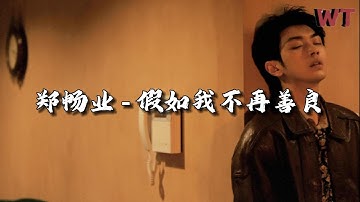 郑畅业 - 假如我不再善良『假如有一天 我不再善良，一定是善良 让我受了伤。』【动态歌词MV】