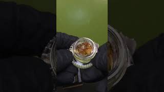 CRUSHING THC DIAMONDS WITH SAUCE | ABSOLUTE EXTRACTS