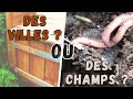 Faire un bon compost : mes 2 méthodes