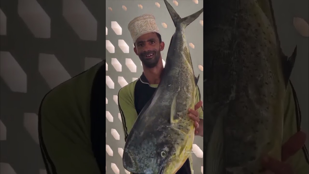 حلقة السمك وجهة عشاق المأكولات البحرية الطازجة #fishing #subscribe #اشتراك_بالقناة